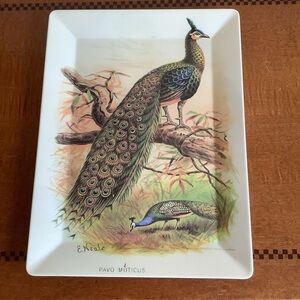Pottery Barn Peacock Design Melanine Tray